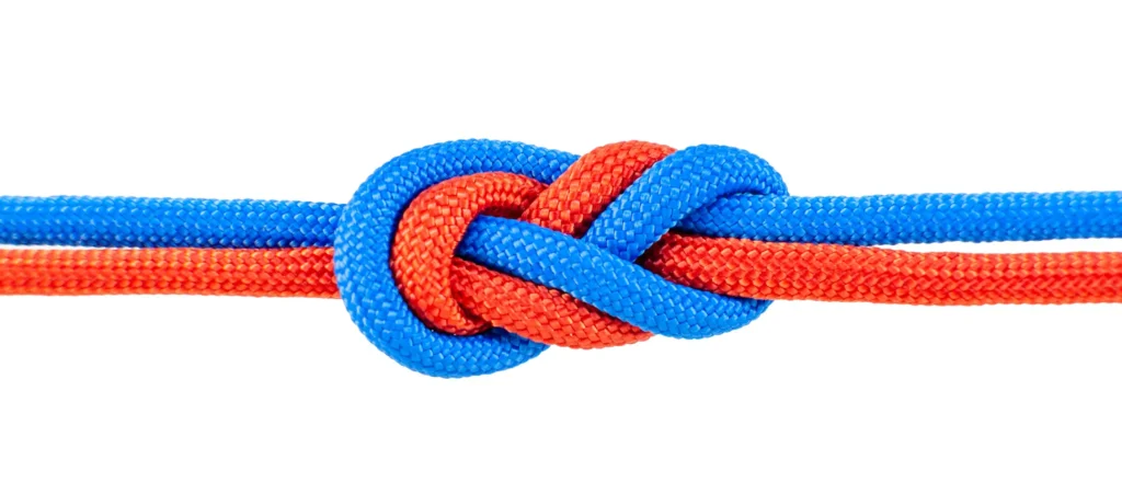 Intertwined red and blue ropes tied in a strong knot, symbolizing trust, reliability, and secure connections.